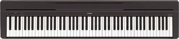 Чистка токопроводящих резинок механизма клавиш Yamaha P-45B