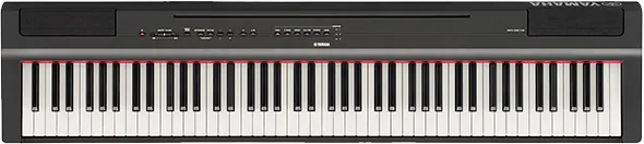 Чистка токопроводящих резинок механизма клавиш Yamaha P-125B